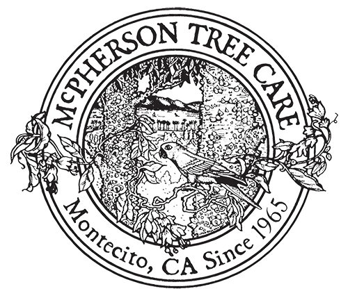 Mcpherson Tree Care Logo